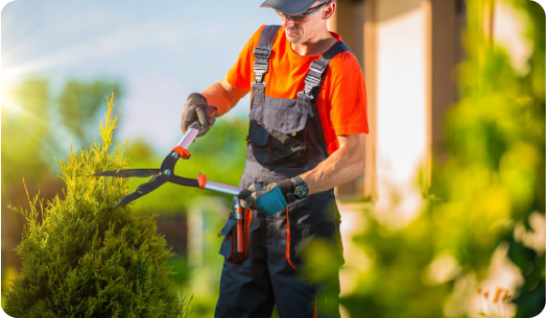 Landscapers trust their instincts and the wishes of their clients before literally moving earth and plant life.